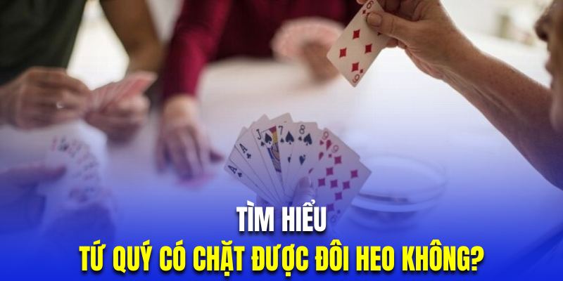 Tìm hiểu bài tứ quý có chặt được heo không trong tiến lên