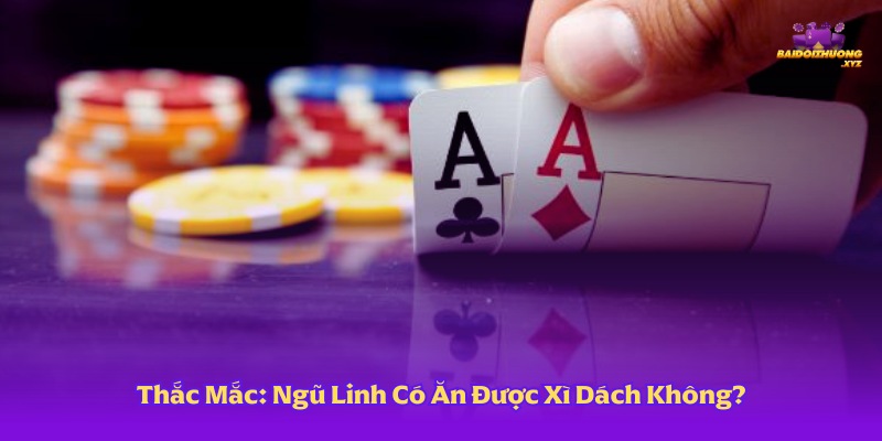 Ngũ Linh Có Ăn Được Xì Dách Không?